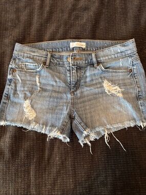 ANN TAYLOR LOFT Light Blue Distressed Denim Shorts